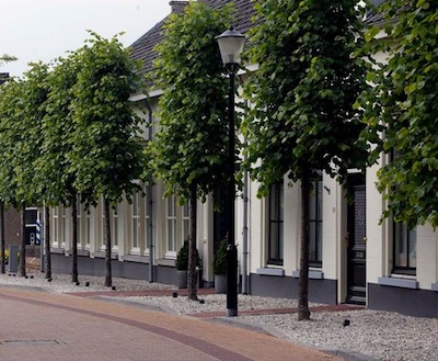 Contactpersoon Oude School